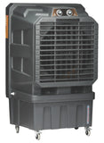 Cinegold Thunder 125 SW Air Cooler 125L with Auto Swing & Honeycomb Pads