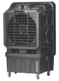 Cinegold Thunder 125 SW Air Cooler 125L with Auto Swing & Honeycomb Pads