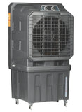 Cinegold Thunder 150 SW Air Cooler 150L with Auto Swing & Honeycomb Pads