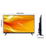 Cine Gold 60 cm (24 inches) True Frameless NORMAL LED TV